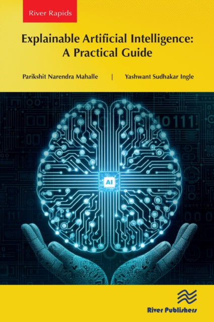 Book cover of: Explainable Artificial Intelligence: A Practical Guide