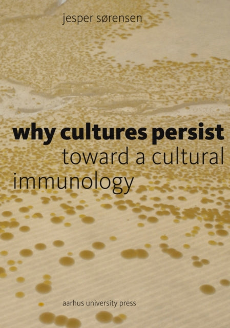 Book cover of: Why Cultures Persist. By: Jesper Sørensen