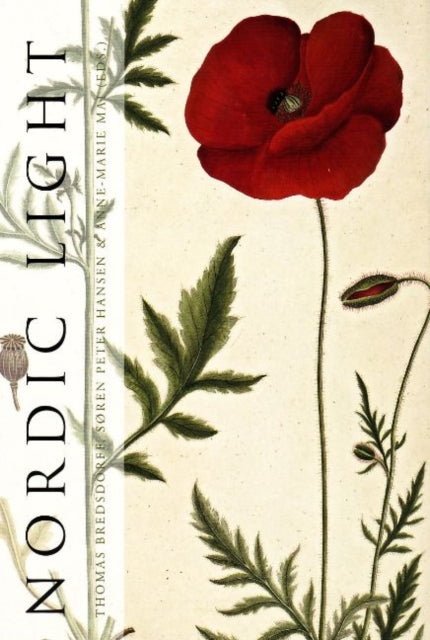 Book cover of: Nordic Light