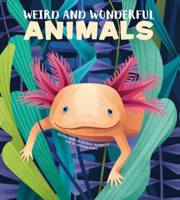 Book cover of: Weird and Wonderful Animals. By: Cristina Banfi