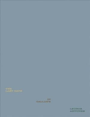 Leonor Antunes: The Last Days in Galliate