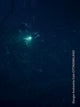 Book cover of: Giorgio Andreotta Calo. By: Giorgio Andreotta Calo