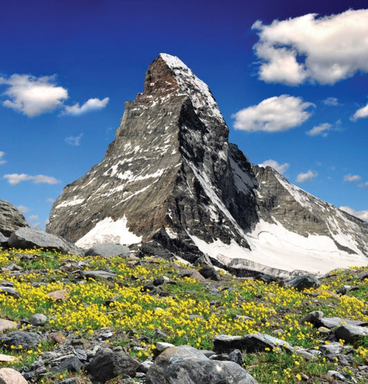Book cover of: Mountains. By: Skira