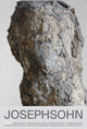 Book cover of: Hans Josephsohn. By: Hans Josephsohn