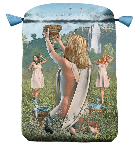 Book cover of: Vice-Versa Tarot Bag