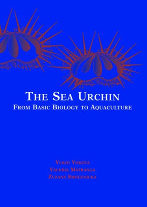 Sea Urchin