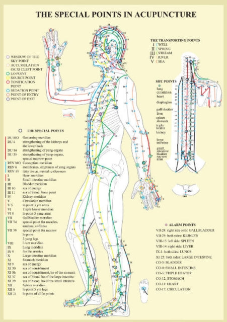 Book cover of: Special Points in Acupunture -- A4