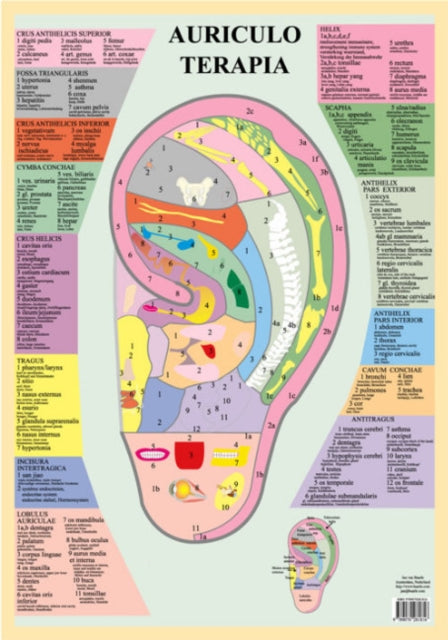 Book cover of: Auriculo Terapia -- A2