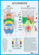 Book cover of: Acupoints -- A2