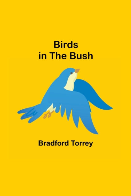 Book cover of: Birds in the Bush