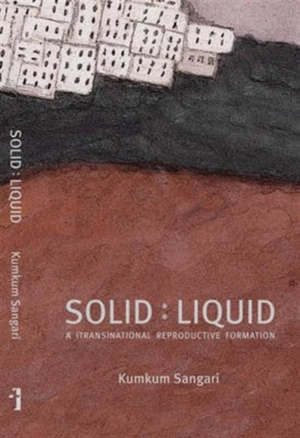 Book cover of: Solid:Liquid – a (trans)national reproductive formation