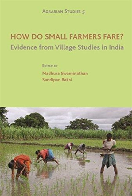 Book cover of: How Do Small Farmers Fare? – Evidence from Village Studies in India