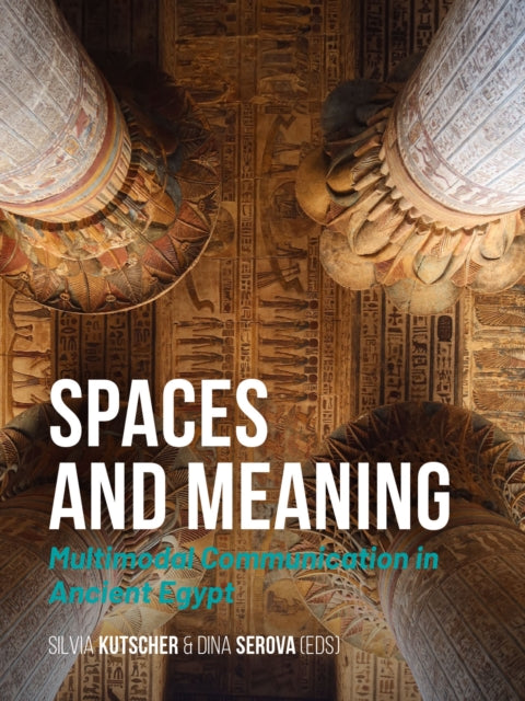 Book cover of: Spaces and Meaning
