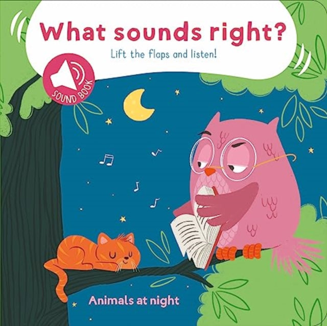 Book cover of: Animals at Night (What Sounds Right)
