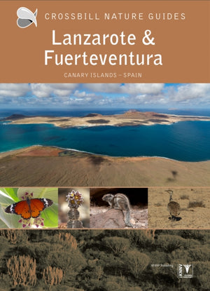 Lanzarote and Fuerteventura