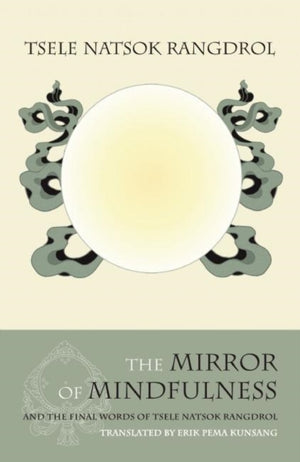 Mirror of Mindfulness