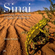 Book cover of: Sinai. By: Omar Attum