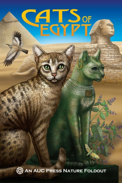 Book cover of: Cats of Egypt. By: Dominique Navarro
