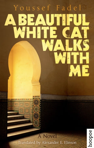 Beautiful White Cat Walks with Me