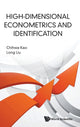 Book cover of: High-dimensional Econometrics And Identification