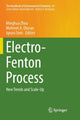 Book cover of: Electro-Fenton Process