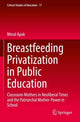 Book cover of: Breastfeeding Privatization in Public Education. By: Meral Apak