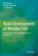 Book cover of: Brain Development of Medaka Fish. By: Yuji Ishikawa