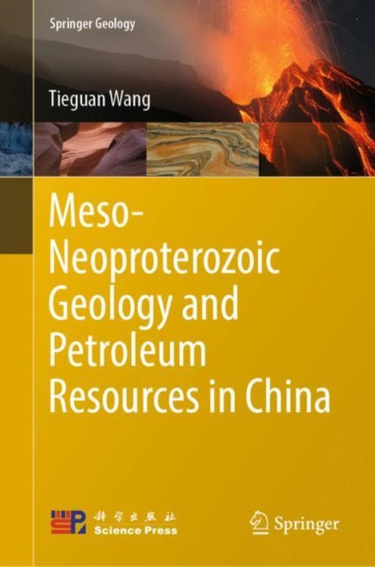 Book cover of: Meso-Neoproterozoic Geology and Petroleum Resources in China. By: Tieguan Wang