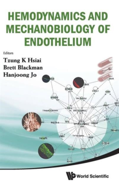 Book cover of: Hemodynamics And Mechanobiology Of Endothelium. By: Tzung K. Hsiai