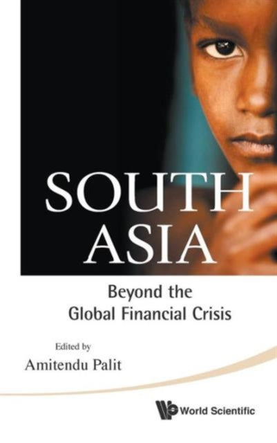 Book cover of: South Asia: Beyond The Global Financial Crisis. By: Amitendu Palit