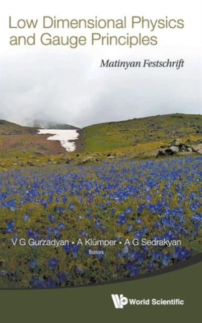 Book cover of: Low Dimensional Physics And Gauge Principles: Matinyan's Festschrift. By: A. G. Sedrakyan