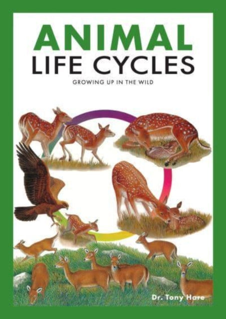 Animal Life Cycles, Discovering How Animals Live in the Wild 9789815044492 Tony Hare