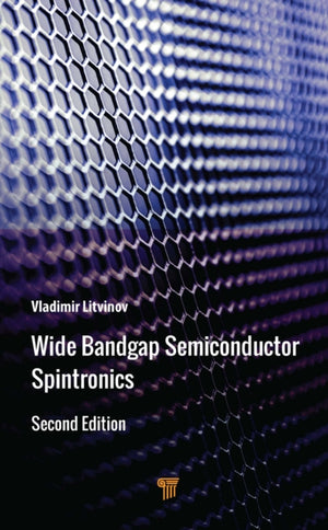 Wide Bandgap Semiconductor Spintronics