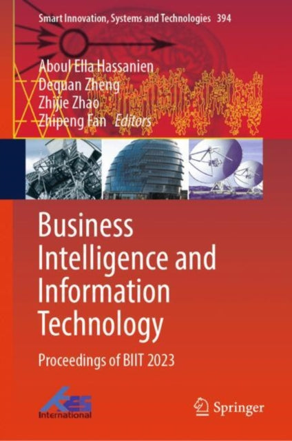Book cover of: Business Intelligence and Information Technology. By: Aboul Ella Hassanien