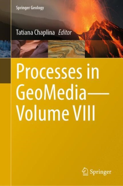 Book cover of: Processes in GeoMedia—Volume VIII. By: Tatiana Chaplina