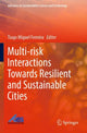 Book cover of: Multi-risk Interactions Towards Resilient and Sustainable Cities. By: Tiago Miguel Ferreira