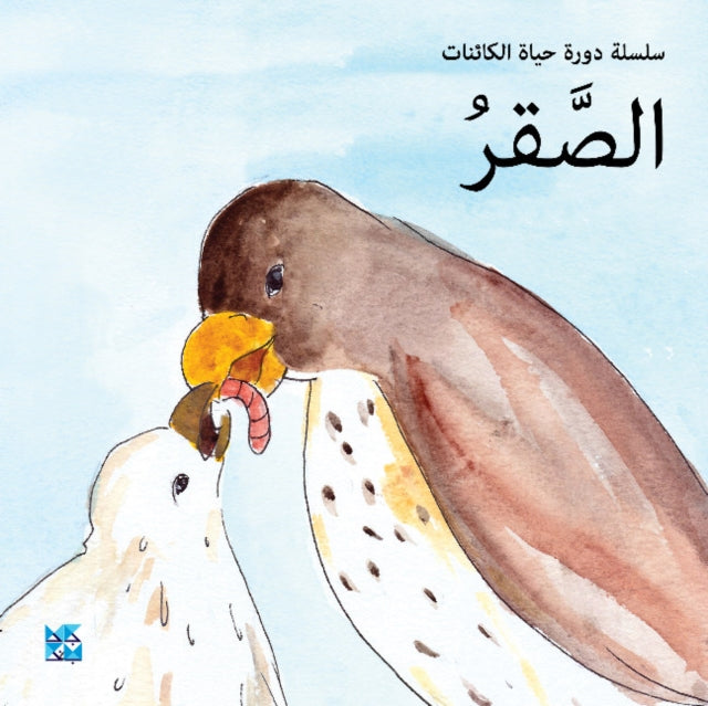 Book cover of: Falcon