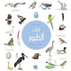 Book cover of: Book of Birds. By: Nathalie Tordjman