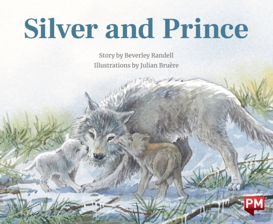 Book cover of: Silver & Prince X6