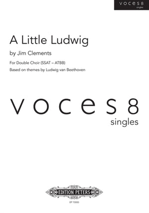 A Little Ludwig