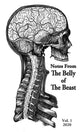 Book cover of: Notes From The Belly Of The Beast