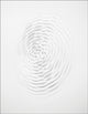 Book cover of: Loris Cecchini. By: Loris Cecchini