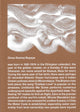 Book cover of: Dineo Seshee Bopape. By: Dineo Seshee Bopape
