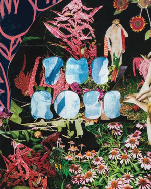 The Rose: A Circular Genealogy of Collage