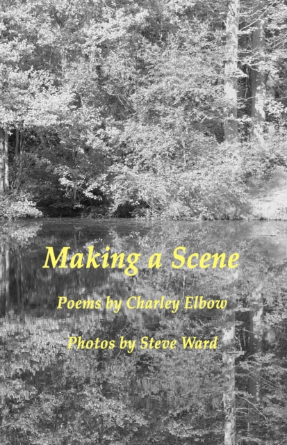 Book cover of: Making A Scene. By: Steve Ward
