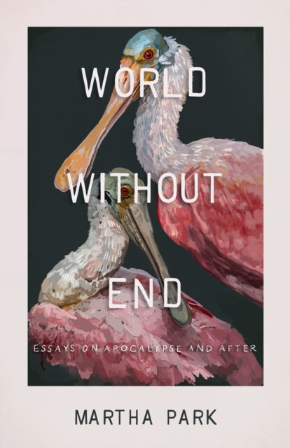 Book cover of: World Without End