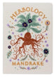 Harry Potter: Mandrake Embroidered Journal 9798886635751 Insights
