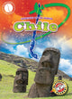 Book cover of: Chile. By: Shannon Anderson