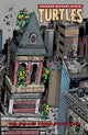 Book cover of: Teenage Mutant Ninja Turtles: The Mirage Years (1993–1995)