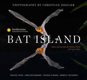 Bat Island